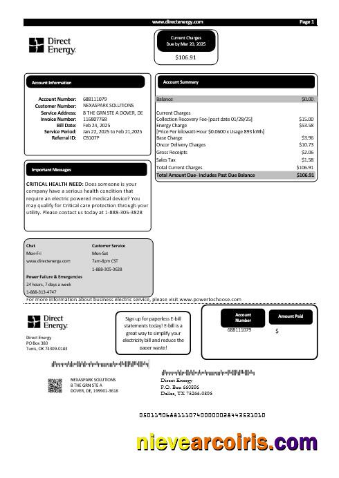 USA Texas Direct Energy business utility bill